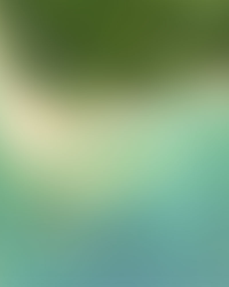 Princeville Community