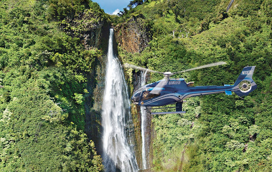 Kauai Activity - Blue Hawaiian Helicopters Hiking Adventures